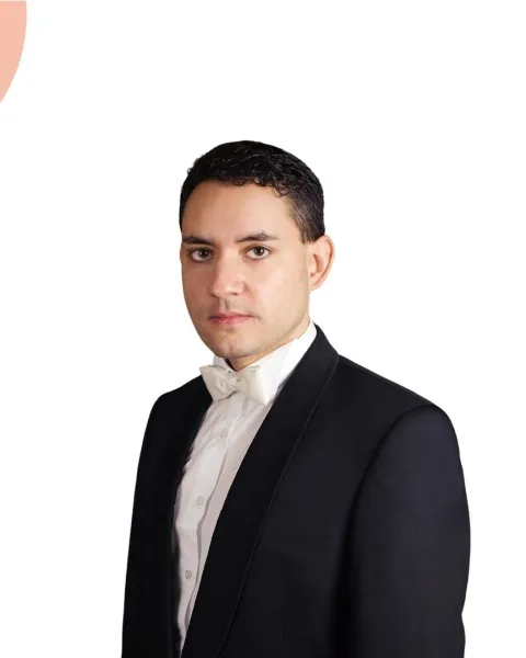 Robert Ferrer Llueca VIU