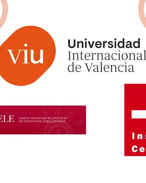 VIU-SICELE Firma card