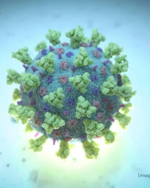 a-computer-image-created-by-nexu-science-communication-together-with-trinity-college-in-dublin-shows-a-model-structurally-representative-of-a-betacoronavirus-which-is-the-type-of-virus-linked-to-covid-19-better-know.jpg