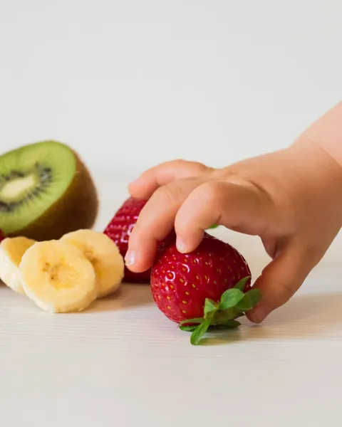 Alimentación complementaria