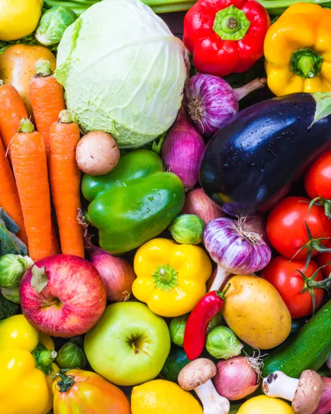 alimentación-autótrofa.jpg