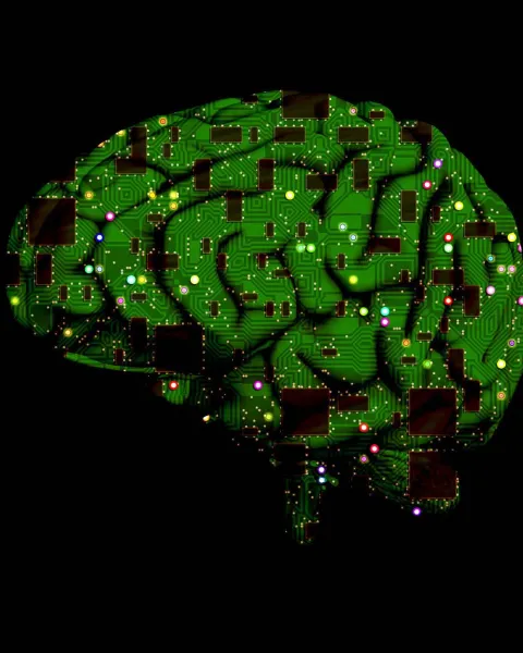 brain-1845944_1920.jpg