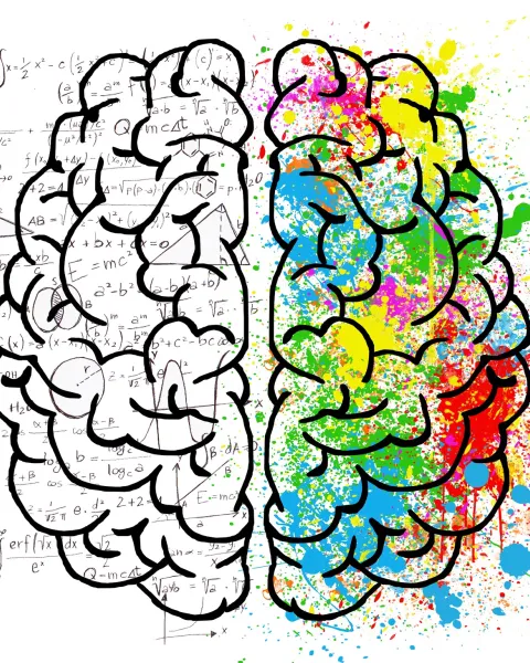 brain-2062057_1920.jpg