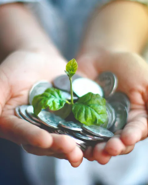 manos-sosteniendo-monedas-y-una-planta-como-simbolo-de-la-economia-verde