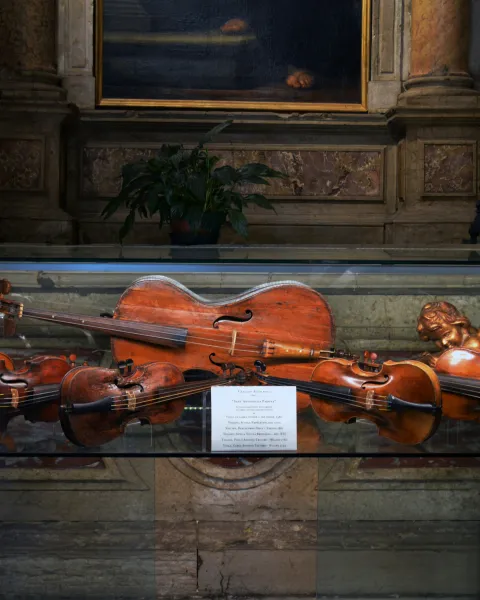 cinco-violines-y-un-violonchelo-en-una-urna-son-instrumentos-con-los-que-se-puede-estudiar-la-etnomusicologia