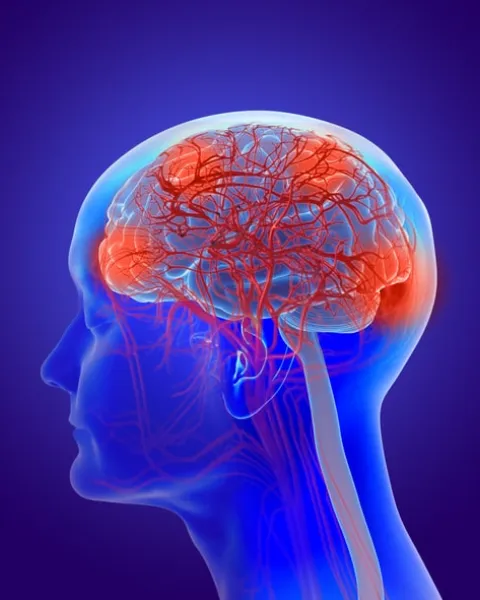 funciones cognitivas superiores-min.jpg