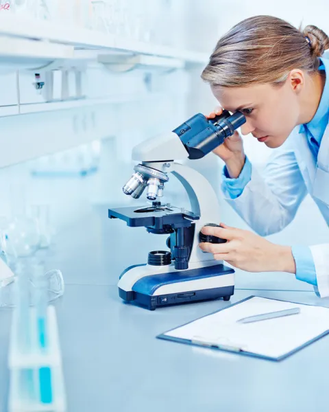 iStock-493477874.jpg