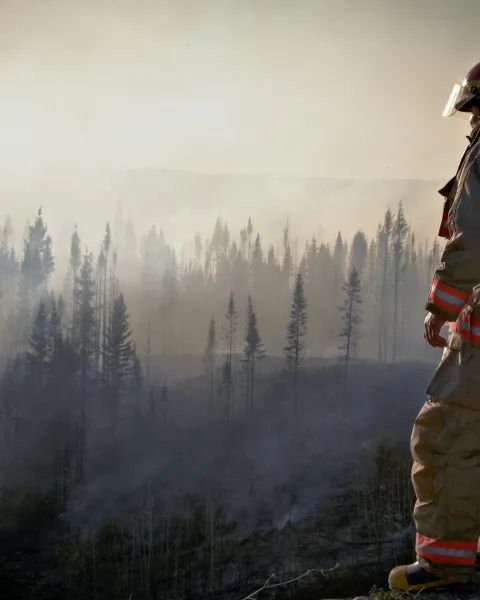 paisaje-boscoso-afectado-por-incendios-forestales-en-el-peru-con-bombero-observando-los-danos