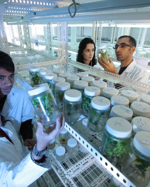 laboratory-385349_960_720.jpg