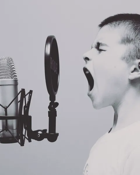 microphone-1209816_960_720.jpg