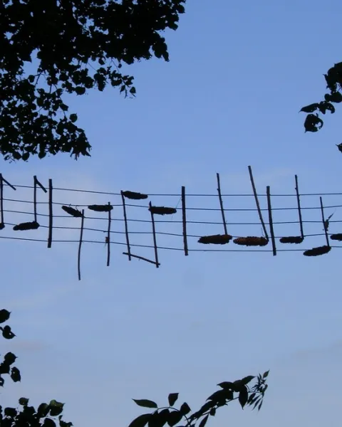 music-1132378_960_720.jpg