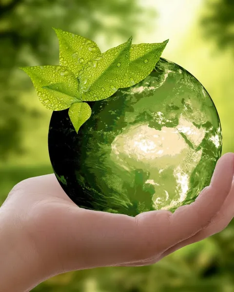 educación ambiental