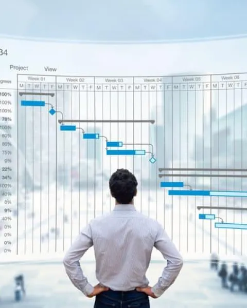 que es project management professional (1).jpg