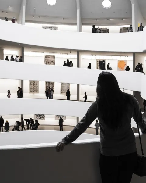museografia viu