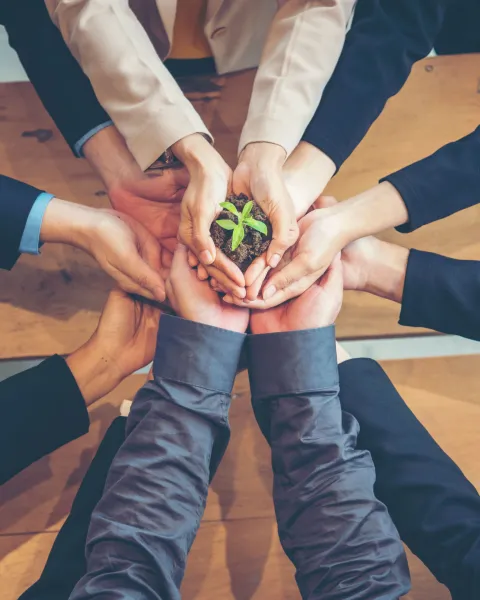 Empresas sostenibles