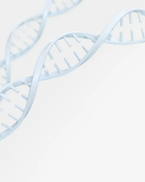 SARS-CoV-2 y Bioinformática