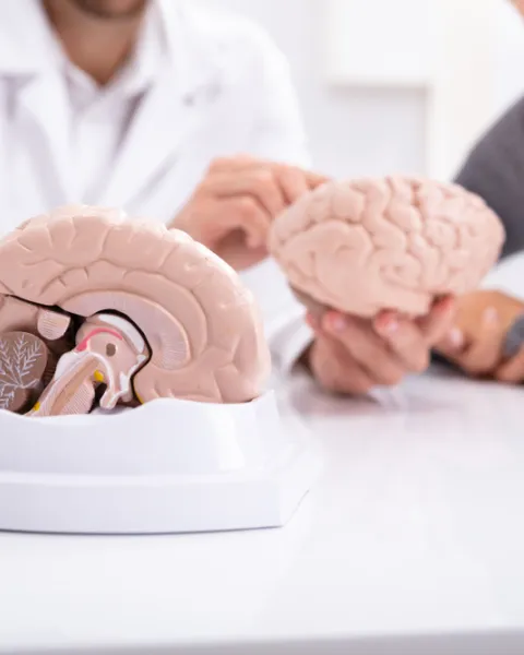 Imagen Portada V Jornadas de la Cátedra VIU-NED en Neurociencia Global y Cambio Social