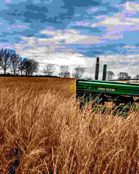 tractor.jpeg