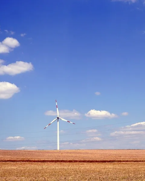 transicion-energetica-futuro-sostenible