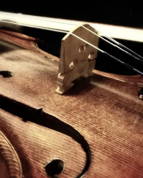 violinista.jpg