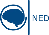 Brand ned fundacion