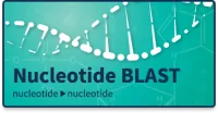 Brand Nucleotide Blast