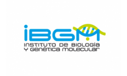 IBGM Logo