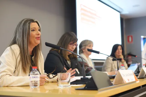 Jornada VIU-FECEVAL intervención Dra. Lucía Granados Alós