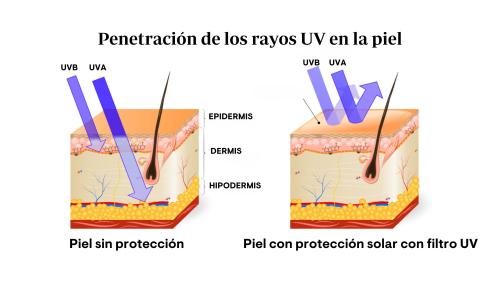 Infografía rayos UV penetración en la piel