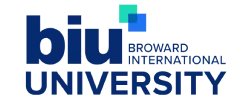 Logo BIU 250x100