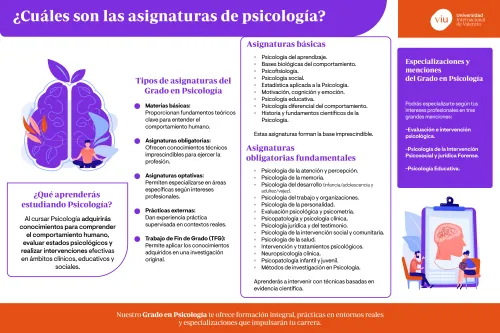 infografia-asignaturas-de-psicologia infografia-que-habla-sobre-las-asignaturas-de-psicologia-sus-tipos-y-menciones-en-la-universidad