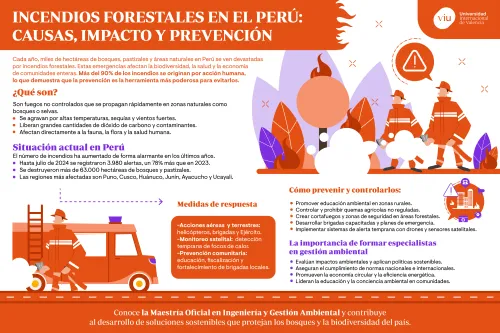 infografia-que-habla-sobre-los-incendios-forestales-en-el-peru-causas-impacto-y-prevencion