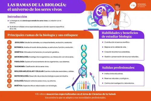 infografia-que-explica-las-principales-ramas-de-la-biologia-los-beneficios-de-estudiarla-y-las-salidas-profesionales
