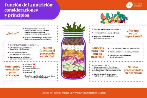 principios-de-la-nutricion infografia-que-habla-sobre-la-funcion-de-la-nutricion-consideraciones-y-principios-esenciales-para-la-salud
