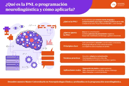 que-es-la-pnl-viu infografia-que-habla-sobre-la-pnl-o-programacion-neurolinguistica-sus-aplicaciones-y-beneficios