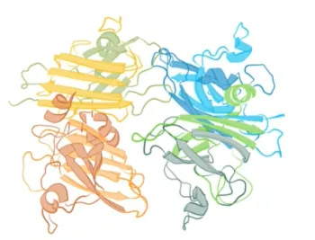 seminario biomédica