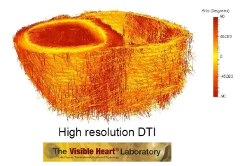 Rubén doste seminario