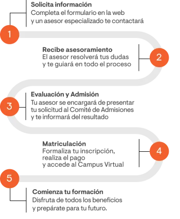 Etapas del proceso de matricula internacional