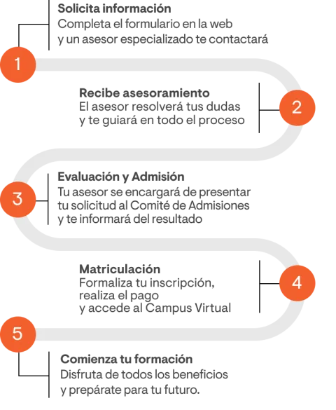 Etapas del proceso de matricula internacional